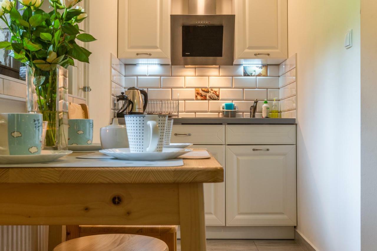 Apartament Ewa 扎科帕内 外观 照片