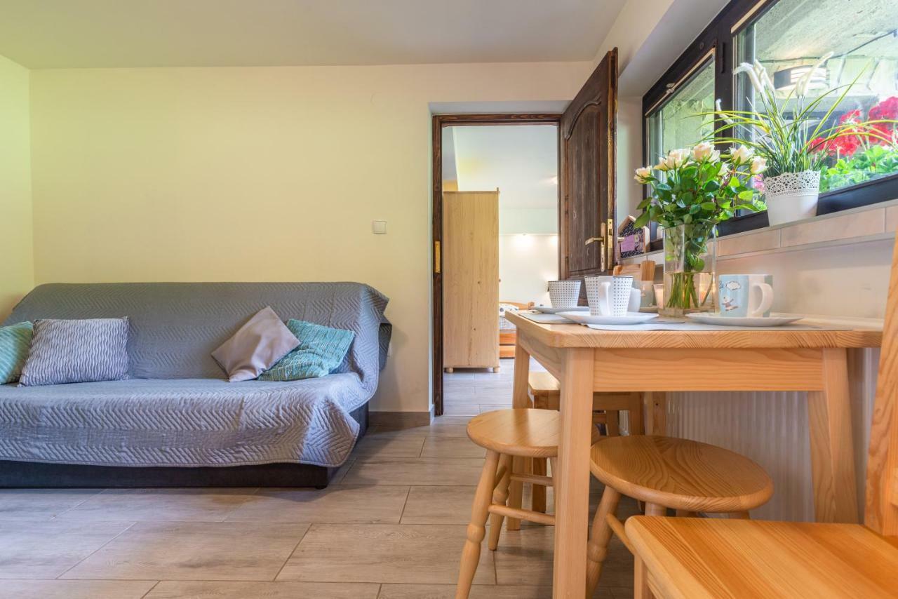 Apartament Ewa 扎科帕内 外观 照片
